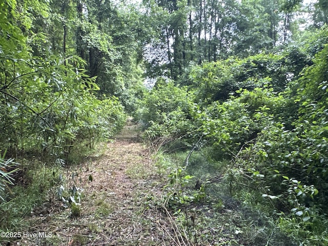 Off Sr 1337, Washington, NC 27889