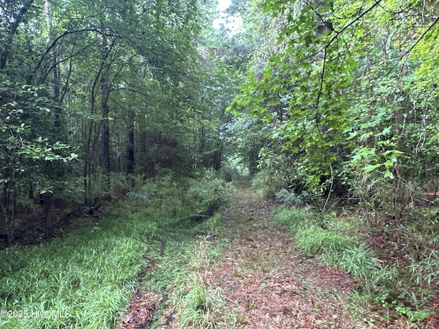 Off Sr 1337, Washington, NC 27889