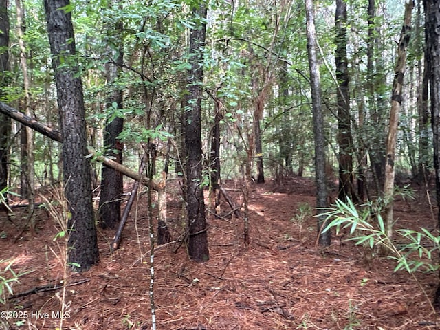 Off Sr 1337, Washington, NC 27889