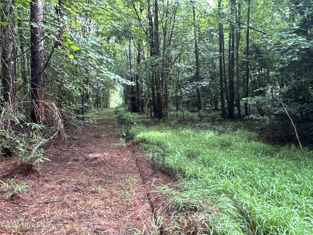 Off Sr 1337, Washington, NC 27889