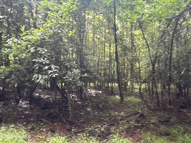 Off Sr 1337, Washington, NC 27889