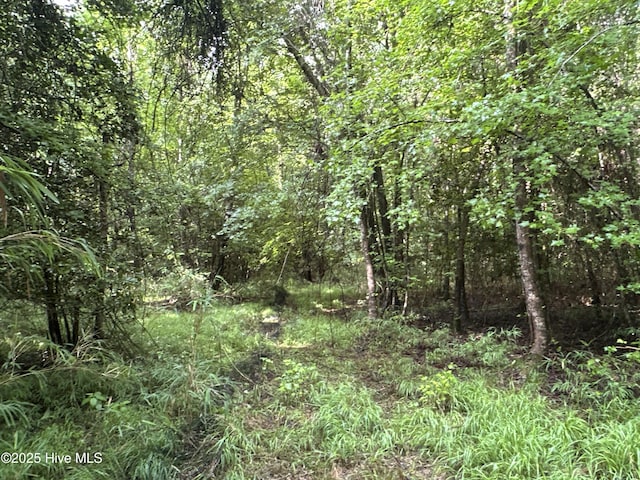 Off Sr 1337, Washington, NC 27889