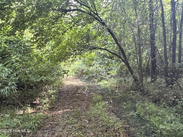 Off Sr 1337, Washington, NC 27889