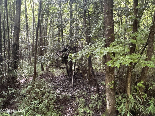 Off Sr 1337, Washington, NC 27889