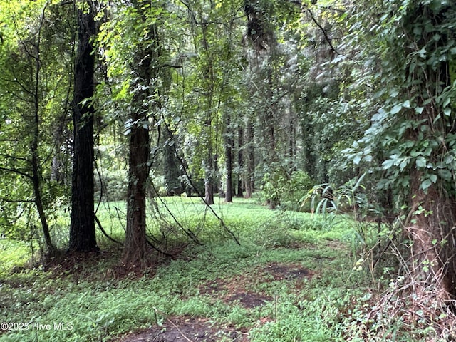 Off Sr 1337, Washington, NC 27889