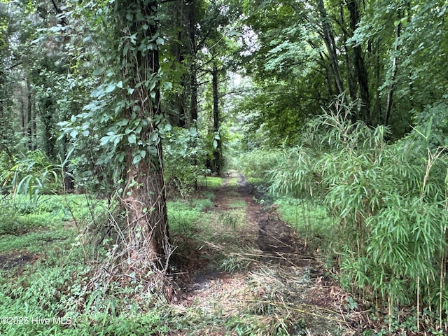 Off Sr 1337, Washington, NC 27889