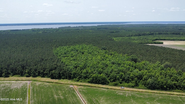 Off Sr 1337, Washington, NC 27889