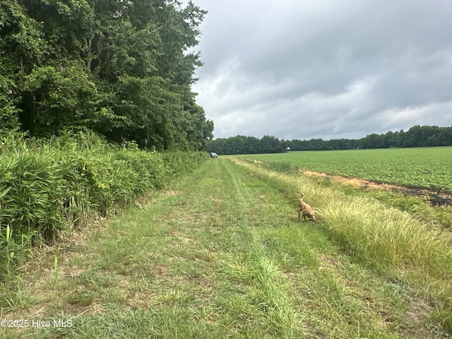 Off Sr 1337, Washington, NC 27889