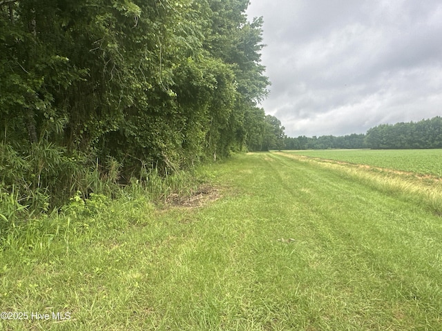 Off Sr 1337, Washington, NC 27889