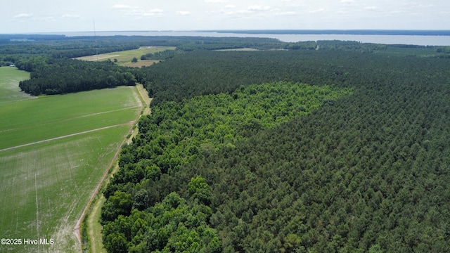 Off Sr 1337, Washington, NC 27889