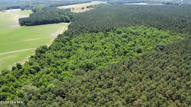 Off Sr 1337, Washington, NC 27889