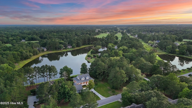376 Red Fox Run Dr, Wallace, NC 28466 - aerial view at dusk of a water view and a forest view