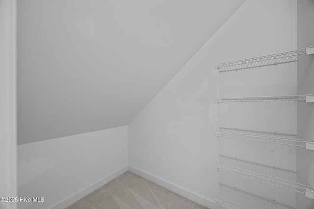376 Red Fox Run Dr, Wallace, NC 28466 - spacious closet featuring vaulted ceiling and light carpet