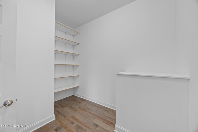 376 Red Fox Run Dr, Wallace, NC 28466 - walk in closet with wood finished floors