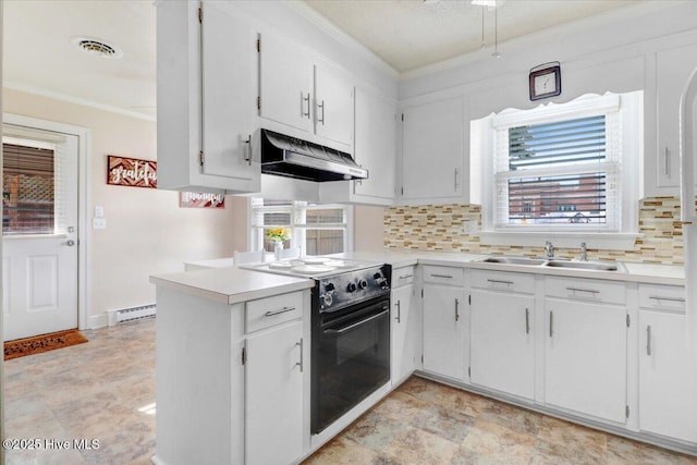 102 SE Third St, Snow Hill, NC 28580 - kitchen with under cabinet range hood, black range with electric stovetop, ornamental molding, tasteful backsplash, and light countertops
