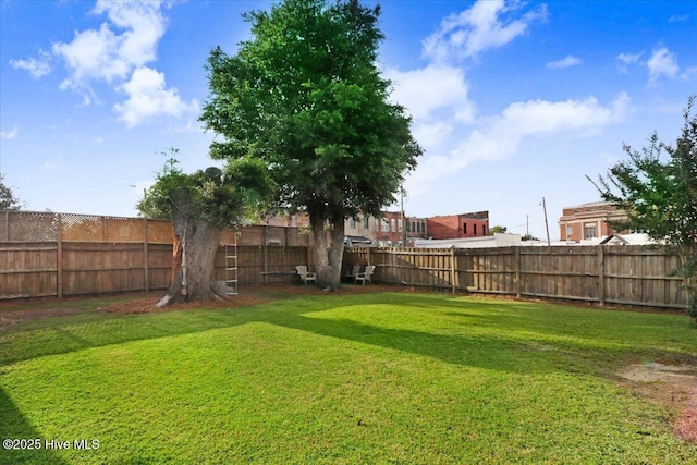 102 SE Third St, Snow Hill, NC 28580 - view of fenced backyard