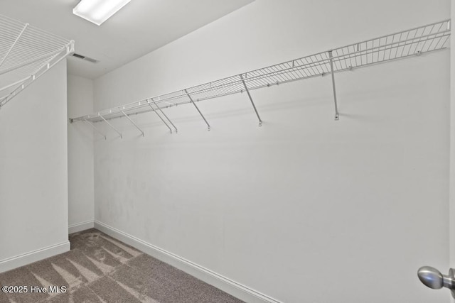 109 Creek End Ct, Swansboro, NC 28584 - spacious closet with carpet