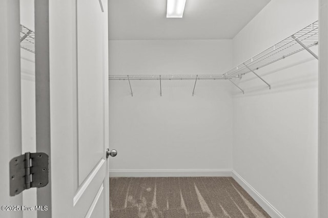 109 Creek End Ct, Swansboro, NC 28584 - walk in closet with carpet floors