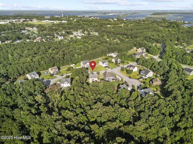 109 Creek End Ct, Swansboro, NC 28584 - view of property location featuring a forest and a large body of water
