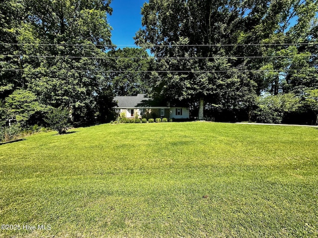 9550 NC-171, Williamston, NC 27892 - view of grassy yard