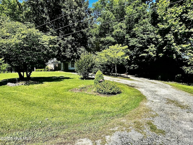 9550 NC-171, Williamston, NC 27892 - view of front of home with a front yard