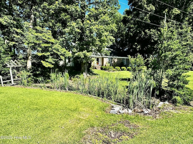 9550 NC-171, Williamston, NC 27892 - view of yard