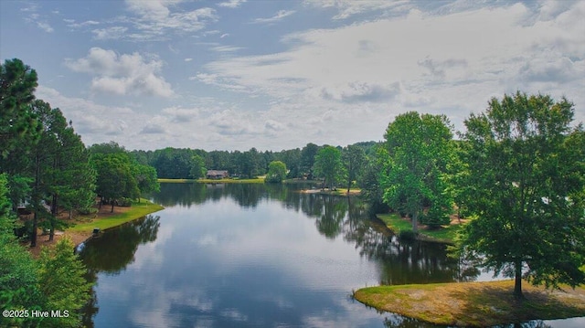 120 Shagbark Ct, Seven Lakes, NC 27376 - water view
