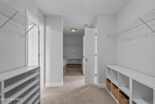 1035 Bent Blade Ln, Wilmington, NC 28411 - walk in closet featuring carpet flooring