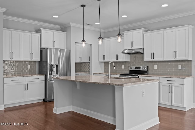 1035 Bent Blade Ln, Wilmington, NC 28411 - kitchen with stainless steel appliances, under cabinet range hood, dark wood-type flooring, tasteful backsplash, and recessed lighting