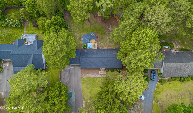1360 Rays Bridge Rd, Whispering Pines, NC 28327 - aerial view