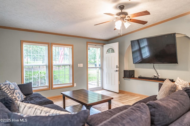1360 Rays Bridge Rd, Whispering Pines, NC 28327 - living room with wood finished floors, a ceiling fan, a textured ceiling, and ornamental molding