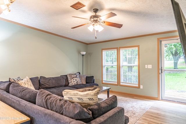 1360 Rays Bridge Rd, Whispering Pines, NC 28327 - living room featuring light wood-style flooring, ceiling fan, ornamental molding, and a textured ceiling