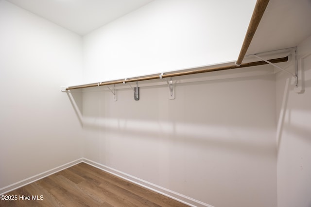 6001 Farmwood Loop, Wilson, NC 27896 - walk in closet with wood finished floors