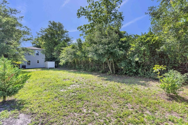 1004 S 8th St, Wilmington, NC 28401 - view of green lawn featuring a shed