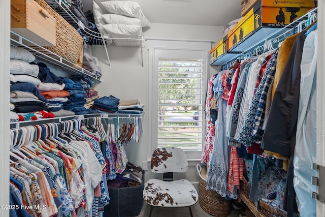 110 Mariners Ct, New Bern, NC 28562 - view of walk in closet