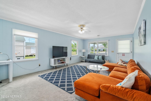 1086 Salter Path Rd, Salter Path, NC 28512 - living area featuring crown molding, carpet floors, ceiling fan, and a textured ceiling