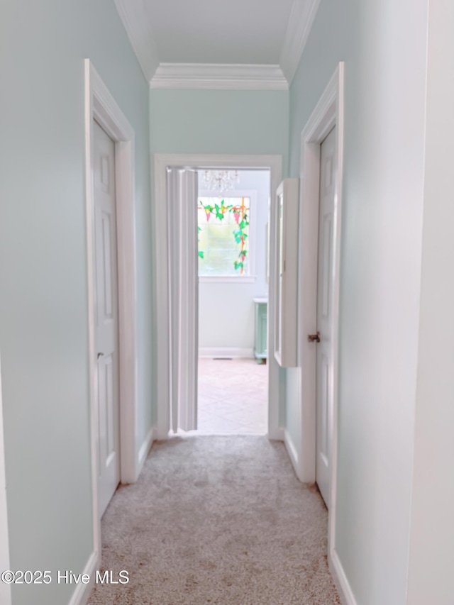 4109 Devonshire Ln, Wilmington, NC 28409 - hallway with carpet flooring and ornamental molding