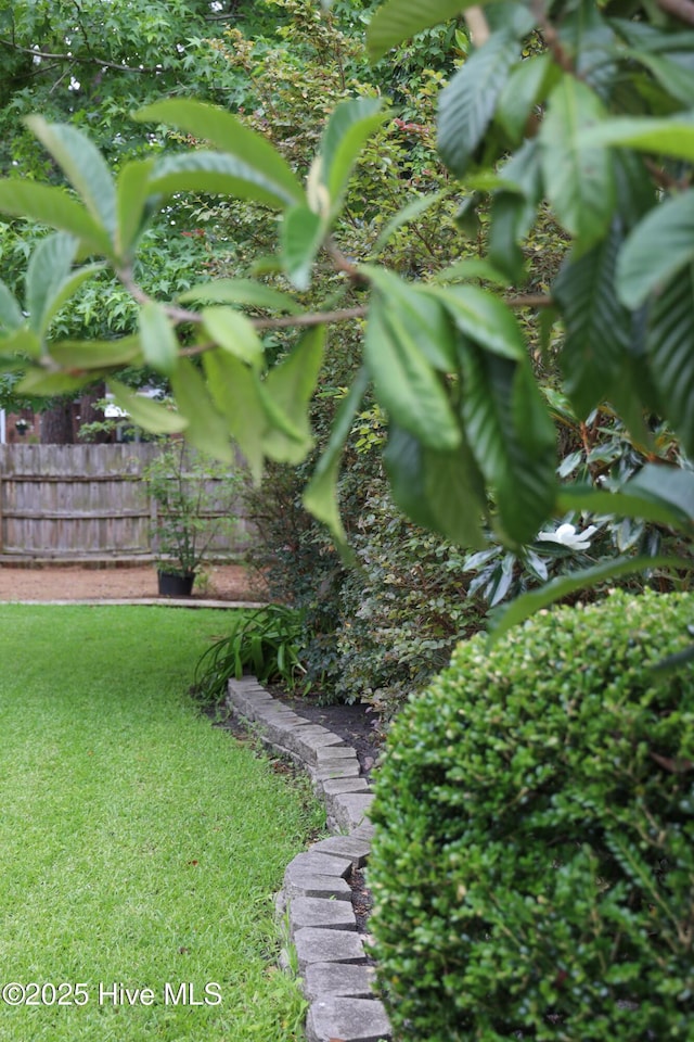 4109 Devonshire Ln, Wilmington, NC 28409 - view of yard