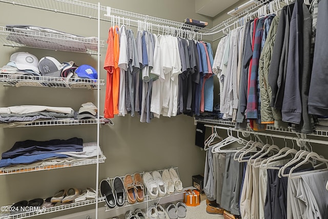 8975 Smithfield Dr NW Apt 2, Calabash, NC 28467 - view of spacious closet