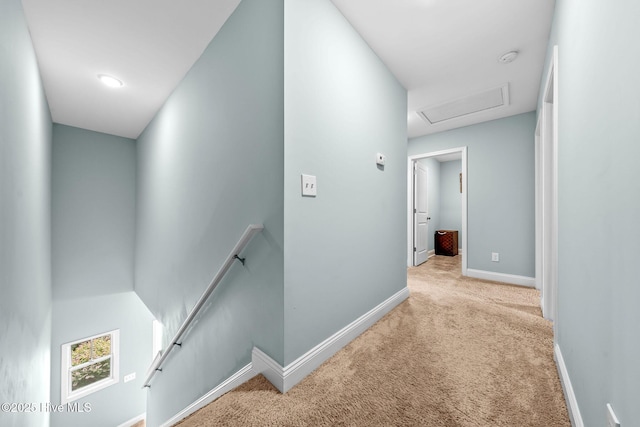 1571 Grey Cliff Run, Wilmington, NC 28405 - hall with an upstairs landing, carpet, and attic access