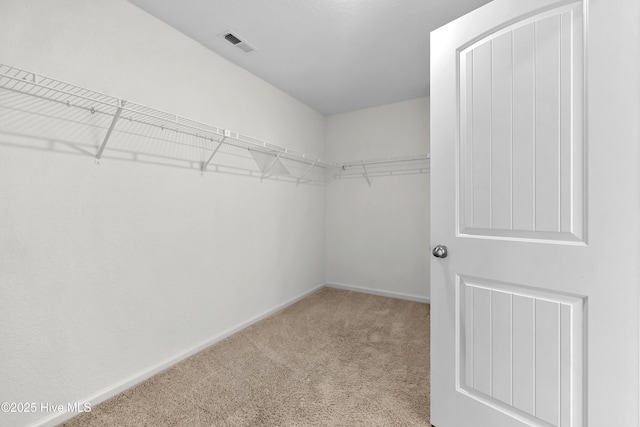 132 Mill Run, South Mills, NC 27976 - walk in closet with carpet flooring