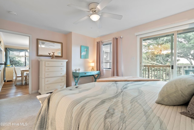 11 Foxfire Trce, Oak Island, NC 28465 - carpeted bedroom with access to exterior, multiple windows, and a ceiling fan