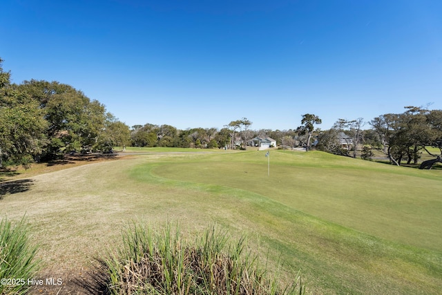 11 Foxfire Trce, Oak Island, NC 28465 - view of property's community featuring golf course view, an area to practice putting, and view of scattered trees