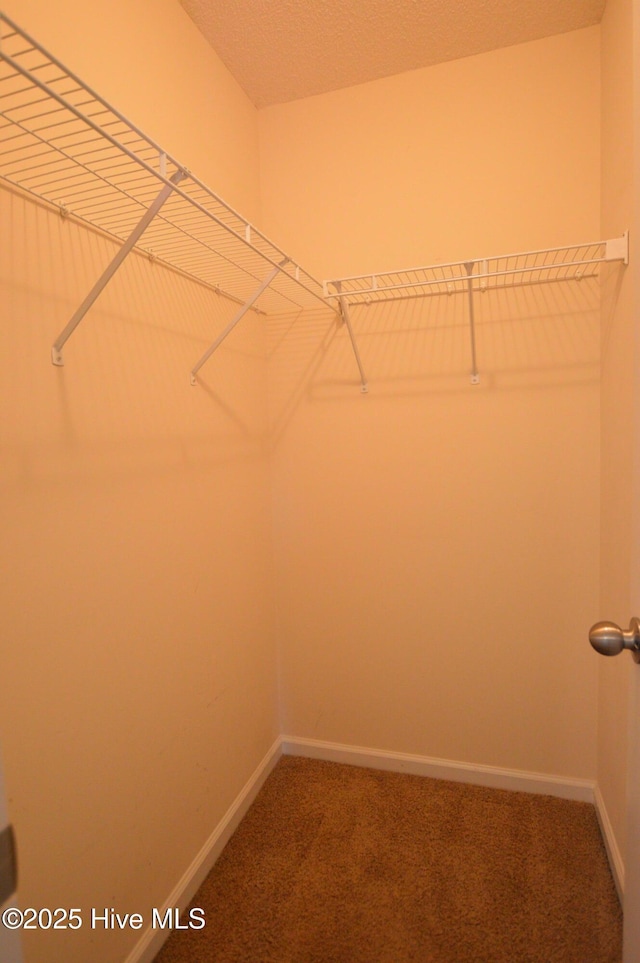 140 Van Riggs Rd, Hubert, NC 28539 - walk in closet with carpet floors