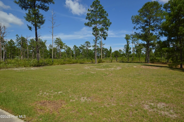 140 Van Riggs Rd, Hubert, NC 28539 - view of grassy yard
