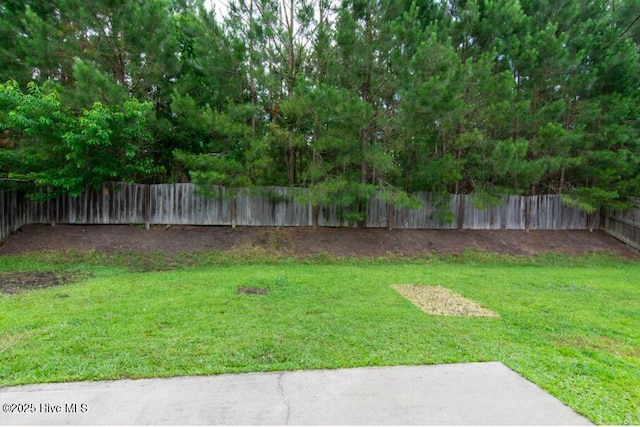 226 Bandon Dr, New Bern, NC 28562 - view of fenced backyard