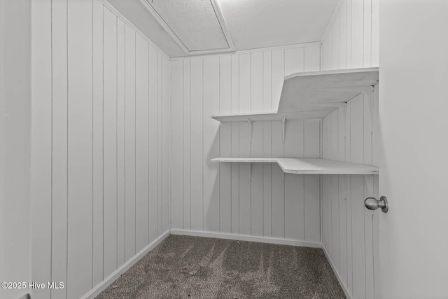 1292 Lake Cole Rd, Midway Park, NC 28544 - walk in closet featuring dark carpet