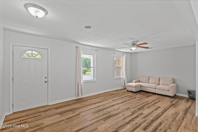 1292 Lake Cole Rd, Midway Park, NC 28544 - foyer featuring light wood-style flooring, plenty of natural light, ceiling fan, and a textured ceiling