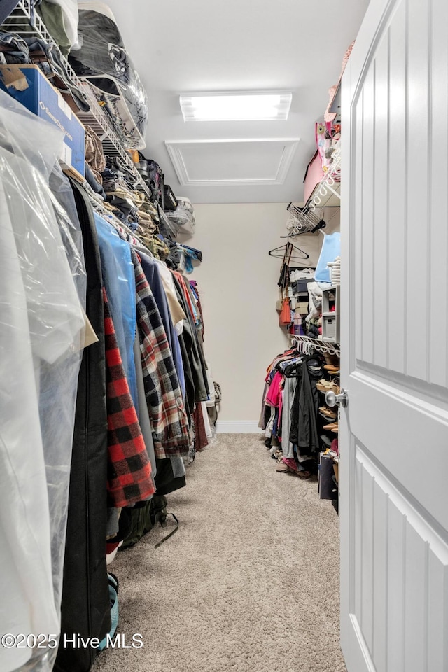 324 Windmill Light Way, Sneads Ferry, NC 28460 - spacious closet with attic access and carpet
