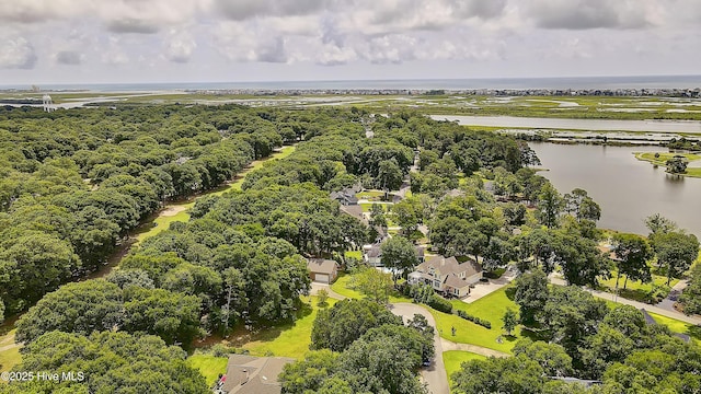 209 Planters Ridge Dr, Sunset Beach, NC 28468 - bird's eye view of a large body of water